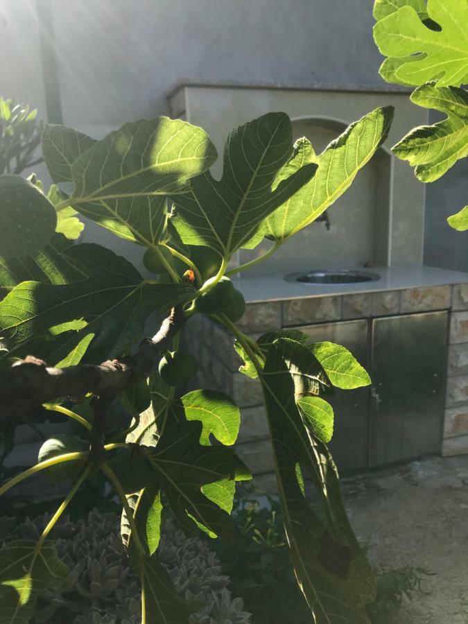 Villa Chiara Vodice Kültér fotó